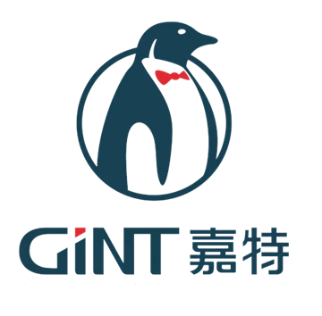 Zhejiang Gint Vacuum Balon Tehnologie Co, Ltd