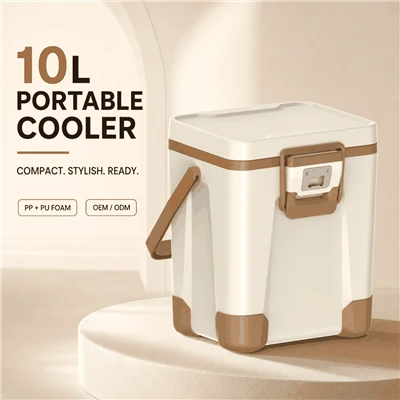 Cutie frigorifica 10L